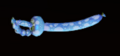 Thumbnail for version as of 11:21, 10 October 2025
