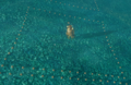 Thumbnail for version as of 12:54, 13 October 2025